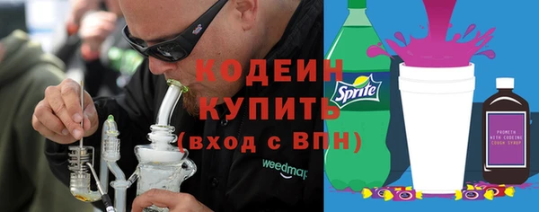 индика Верея